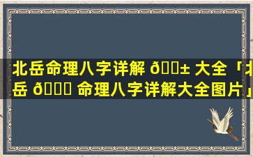 北岳命理八字详解 🐱 大全「北岳 🐛 命理八字详解大全图片」